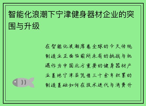 智能化浪潮下宁津健身器材企业的突围与升级